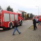 Fotka nr 1 z 43