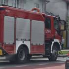 Fotka nr 3 z 11