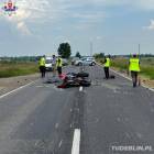 Fotka nr 5 z 7