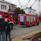 Fotka nr 1 z 11