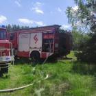Fotka nr 2 z 3