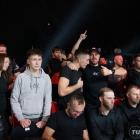 zdjęcie nr 19
