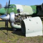 Fotka nr 2 z 15