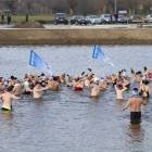 zdjęcie nr 17