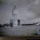 Fotka nr 5 z 8