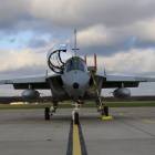 Fotka nr 2 z 8