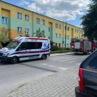 Fotka nr 1 z 3