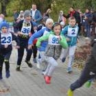 zdjęcie nr 10