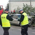 Fotka nr 2 z 13