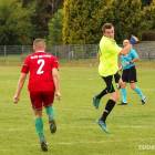 Fotka nr 2 z 27