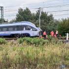 zdjęcie nr 8