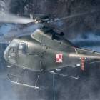 Fotka nr 3 z 11