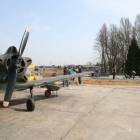 Fotka nr 5 z 6