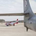 Fotka nr 5 z 16