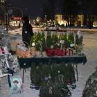 zdjęcie nr 49