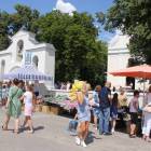 zdjęcie nr 8