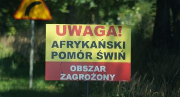 Minister rolnictwa ostrzega przed świńską zarazą