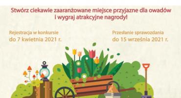 Weź udział w konkursie „Tajemniczy ogród dla pszczół i dzikich zapylaczy”