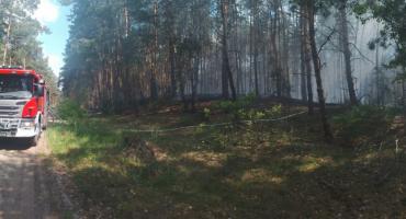 Brzeźce - Strażacy wezwani do pożaru lasu